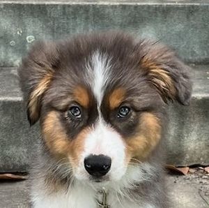 Meet your Posher, Mary